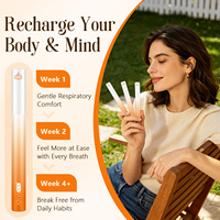 Diffuseur d'arômes énergisant à base de plantes ATOANY, caféine, thé vert, menthe poivrée, stylo diffuseur, 100% naturel, sans nicotine, inhalateur de vitamine B12