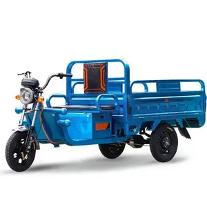 Hot sale agricultural domestic Climbing Pick up Carry goods 60V battery 1000W Three wheels electric cargo Freight tricycle