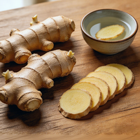 Gingembre frais naturel jeune de haute qualité, origine Shandong Anqiu, piquant, 20 kg, marque OEM, durée de conservation de 6 mois, pour la vente en gros