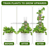 Petit poteau en plastique auto-arrosant de 20*6cm avec rallonges à assembler librement pour le soutien des plantes grimpantes d'intérieur, maison et jardin