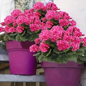 Lot de 4 fleurs artificielles de dahlias roses, plantes décoratives pour la décoration de jardin et de patio extérieur - Product Image 3