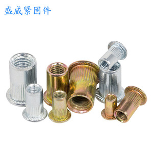 Écrous à riveter Shengwei M3-M12 en acier inoxydable 304, à tête plate, filetage interne, trou traversant, pour l'industrie de la construction - Product Image 1