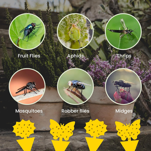 Trampas Adhesivas Amarillas <span class=keywords><strong>Ultra</strong></span> Adhesivas para Interiores, de Doble Cara, para Atrapar Moscas de la Fruta, Mosquitos e Insectos Voladores en el Hogar - Product Image 5