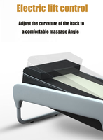 Table de massage professionnelle portable ZL en tourmaline et jade avec système de chauffage à minuterie, hauteur réglable, pour salon, couleur noire, 40 min, PU, garantie 12 mois