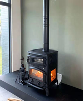 Cheminées directes d'usine cuisinier poêles en fonte poêle à bois four à bois