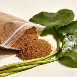 天然ハーブエキス 10:1 蓮の葉エキス粉末 純度99% 食品グレード 真空パックドラム - Product Image 1