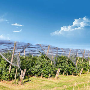 Malla Insecticida de HDPE Blanca para Control de Plagas, Pulgones y Moscas de la Fruta en Invernaderos, Precio Económico - Product Image 6