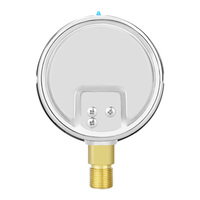High-Sensitivity Bottom Vertical Connection Stainless Steel Capsule Pressure Gauge for Gas Pressure Measurement