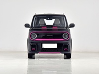 Voitures électriques Geely Panda RWD 2025 à charge rapide, mini-véhicules électriques pour adolescents, voitures à énergie nouvelle, voitures économiques pour les trajets quotidiens