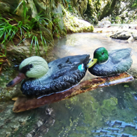 Paire de leurres de chasse au canard réalistes flottants (PE résistant aux UV et imperméable) pour la chasse aux oiseaux aquatiques et la décoration de jardin