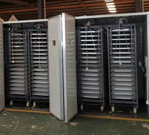 Baojieyuan-Couveuse à œufs entièrement automatique de 2112 capacité pour œufs de poule à couver - Product Image 1