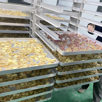 Máquina Secadora al Vacío de Acero Inoxidable, Horno de Secado Industrial para Laboratorio y Fábrica