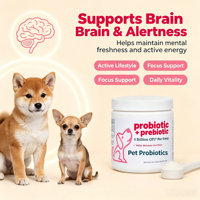 Poudre de probiotiques pour la santé digestive, marque privée OEM, usine chinoise, vente en gros