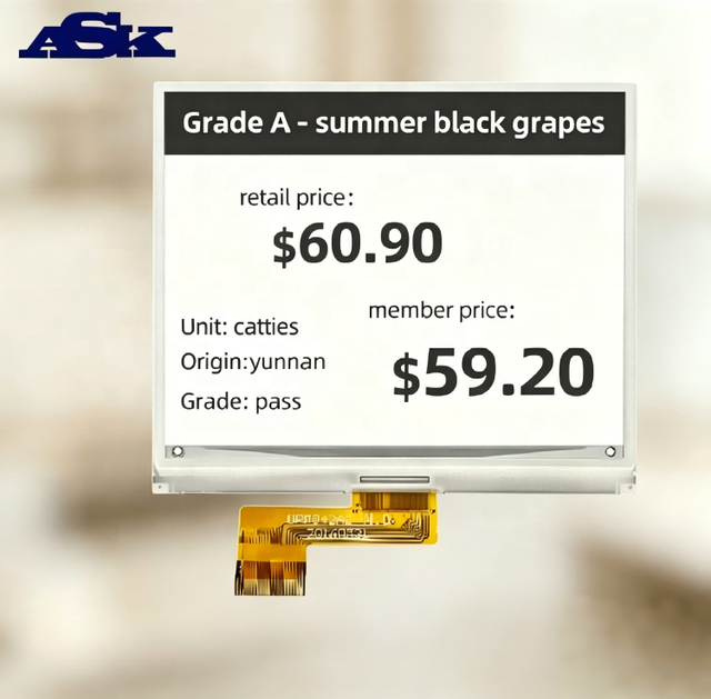 4.2" Eye Care E Ink Display | No Blue Light E-Paper Screen 400x300 | Bistable EPD for ESL Retail IoT