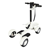 Chariot de golf électrique à quatre roues, scooter, chariot de golf, fabriqué en usine