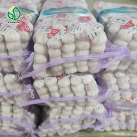 Fournisseur chinois de nouvelle récolte d'ail frais à bas prix pour la vente sur le marché colombien/chilien