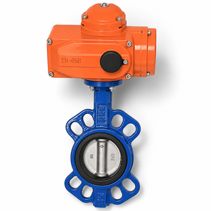 Régulateur de débit d'eau flottant à pince en fonte de 8 pouces - Product Image 1