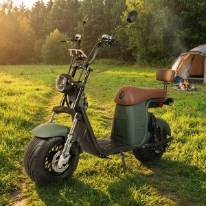 Scooter Eléctrico 2026 con Certificación COC/EEC, Batería de Litio de 60V 20Ah/40Ah, 2000W/1000W, Impermeable, 60km/h, 200kg, para Adultos, Modelo X26, Precio - Product Image 1