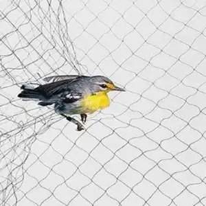 Get A Wholesale bird netting knotted monofilament For Property