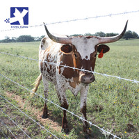 Fil barbelé en PVC galvanisé à prix de gros par rouleau, taille personnalisée, bobine de fil barbelé de protection