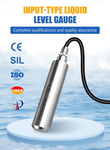 Industriële IP68 roestvrijstalen onderwater niveaumeter hoge nauwkeurigheid 12-28VDC helder water putniveaumeter - Product Image 1