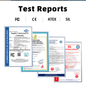 HIREP 공장 도매 0-200ppm 다중 가스 감지기 EX O2 NH3 NO2 휴대용 ATEX/CE/FCC/SIL 인증 충전식 - Product Image 4