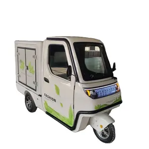 2024 New Electrical Transport Vehicles 2200w Motor Electric Cargo Trike/Electric vehicle/electric 3 -wheels