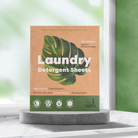 Feuilles de Lessive Biodégradables Sans Parfum et Sans Liquide, Écologiques, Marque Personnalisée OEM, avec Format Voyage
