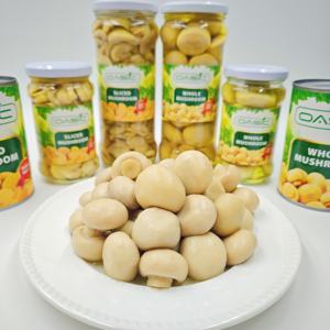 Nova Temporada Melhor Marca OEM Sabor Saudável Fresco Vaporizado Enlatado Champigons Inteiros Cogumelo Ostra em Salmoura com 3 Anos de Vida - Product Image 3