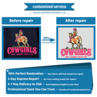 Transferts thermiques DTF de haute qualité, impression personnalisée, transferts sérigraphiques, couleurs vives, autocollants DTF pour t-shirts