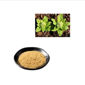 Venta al por mayor Bulk Petasites Japonicus Extracto Petasins 15% Butterbur Extracto en polvo