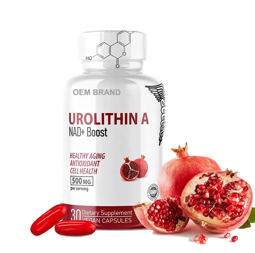 Urolithin một bổ sung NAD Nutri urolithin Một viên nang tăng cường để sửa chữa tế bào hỗ trợ lão hóa và năng lượng khỏe mạnh