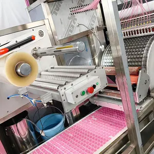 Automatische Verpackungsmaschine Wäschekannen Reinigungsmittel Kapsel-Tellerwaschanlage Maschinen wasserschlagbare Folie-Verpackungsmaschine
