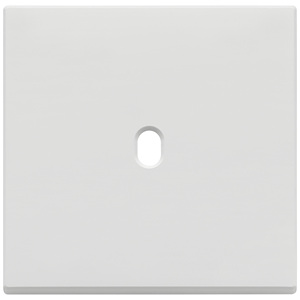 Placa de puerta vintage de color blanco mate, 9,5 pulgadas de largo y 1,4 pulgadas de altura. - Product Image 1