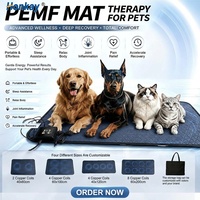 Tapis de rééducation multifonctionnel pour chat à fréquence réglable, soulagement des douleurs articulaires du corps entier, tapis de magnétothérapie pour animaux de compagnie