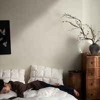 Nouvelle Couette Hiver 2026 en 50% Duvet de Canard Blanc, Doublure en Satin Doux, Anti-Fuite, Garnissage Épais pour Temps Froid