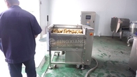 Machine de fabrication de frites surgelées 100-500kg Ligne de production semi-automatique de chips de pommes de terre
