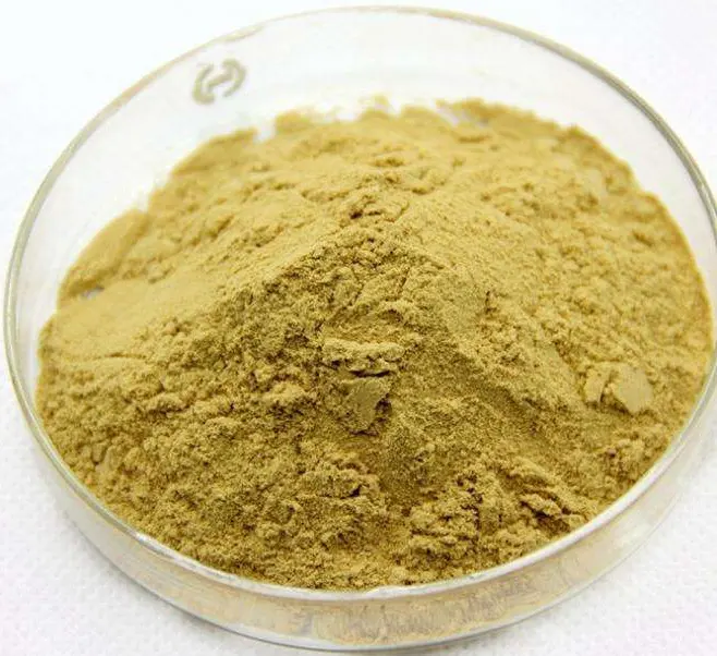 Ginger extract manufacturer supply good price dried pure organic ginger root extract gingerol powder