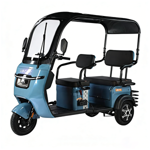 Triciclo Eléctrico, Motocicleta de 3 Ruedas para Adultos, con Asiento para Pasajero, a <span class=keywords><strong>Precio</strong></span> Económico - Product Image 2