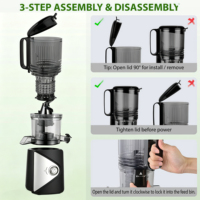 Extracteur de jus à large goulotte d'alimentation avec moteur 250W et rendement élevé en jus, presse-agrumes lent à mastication