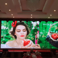 Module LED GOB P1.53 P1.86 P2.5, écran d'affichage LED intérieur haute résolution 800cd, panneau mural vidéo