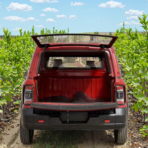 <span class=keywords><strong>2025</strong></span>热电动迷你皮卡没有特殊的驾驶执照需要完美的青少年工人老年农民农民。 - Product Image 5