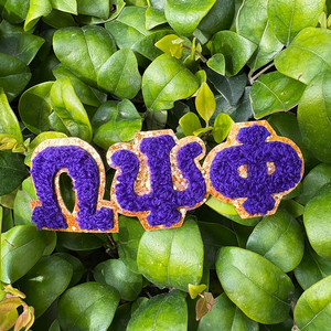 Индивидуальные нашивки с греческими буквами, вышитые на заказ, нашивки с буквами Zeta Phi Beta Sorority, нашивки из синели для одежды - Product Image 4