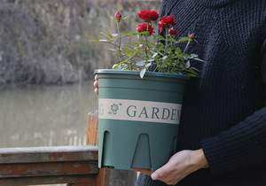 Root Flower Pot Garden Supplies Planting Basin <b>Planters</b> - Product Image 6