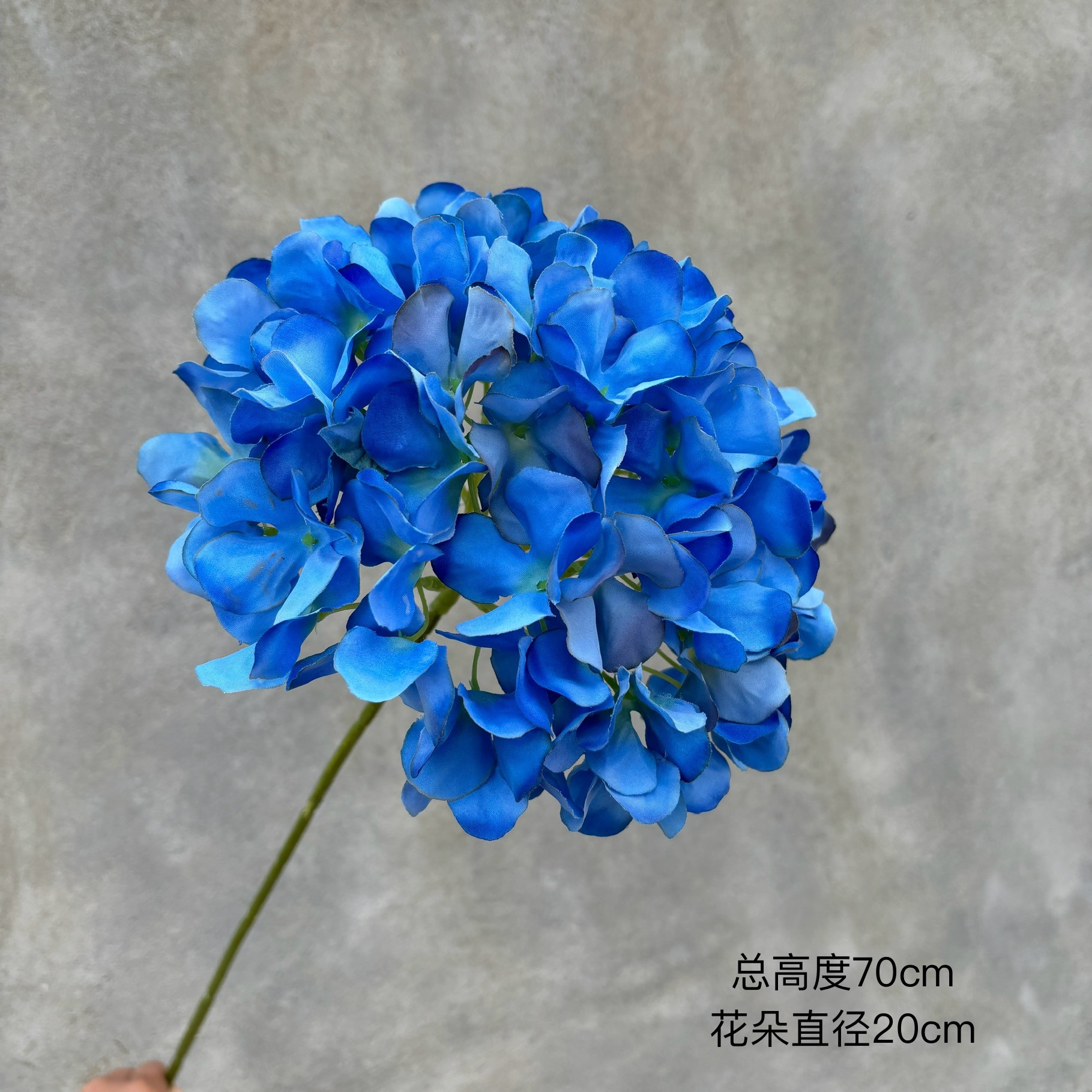 Singolo set da 72 pezzi di ortensie blu zaffiro