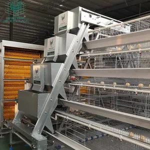 10000 Birds Coop Poultry Farming Equipment A Type 4 Tiers Battery Layer Automatic Chicken Cage For Sale