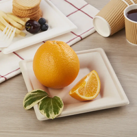 Assiette à dîner à 3 compartiments pour emballage de bagasse Assiettes en papier compostables Assiettes en papier jetables pour plateau de bagasse de canne à sucre