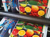 Impresora Flexográfica para Bolsas de Plástico y Etiquetas de Papel, Máquina Automática de 6 Colores con Velocidad de 200 m/min