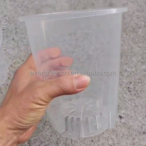 Pot d'orchidées avec fond transparent et design surélevé Pot de fleurs en plastique de 5.5 pouces pour la décoration de la pépinière de la maison de jardin Utilisation du sol de bureau - Product Image 3