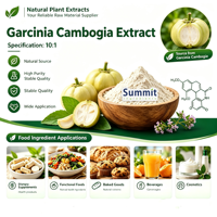 Extrait de Garcinia Cambogia, extrait naturel de plante en poudre, acide hydroxycitrique HCA pour complément alimentaire, matière première
